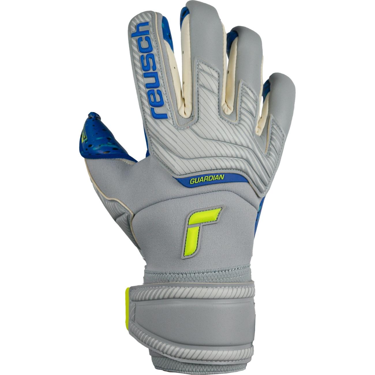 Reusch Attract Fusion Guardian