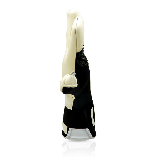 Gladiator Sports Bebo