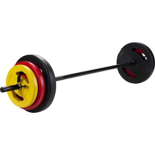 DE HALTERSET 20KG + BAR