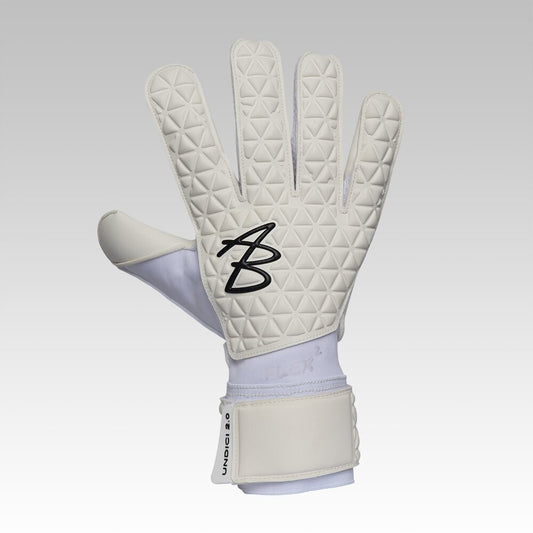 AB1GK FLEX 2