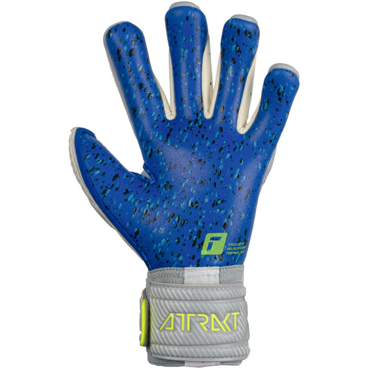 Reusch Attract Fusion Guardian