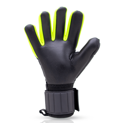 Gladiator Sports Viva Hollandia Yellow