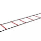 Pure2Improve Agility Ladder