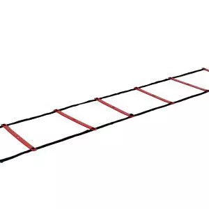 Pure2Improve Agility Ladder